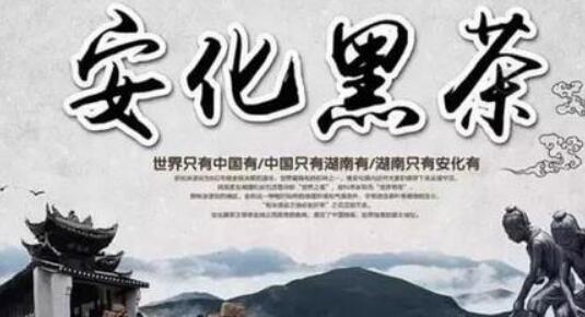 “中國黑茶之鄉”湖南安化縣：依托一帶一路讓安化黑茶走向世界