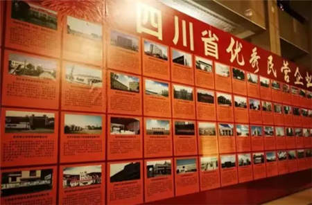 高原之寶榮獲“四川省優秀民營企業”稱號