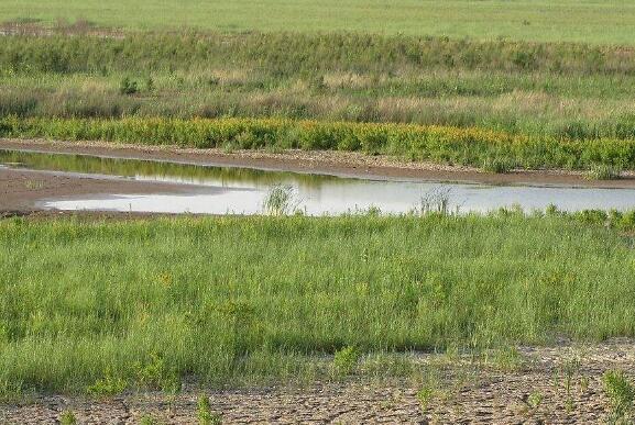 四川省明確17項修復保護黃河生態環境重點任務