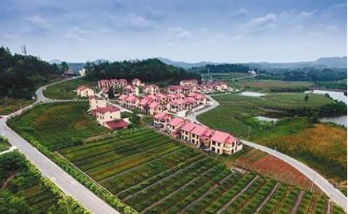 四川率先啟動經濟開發式扶貧 累計減貧2400多萬人