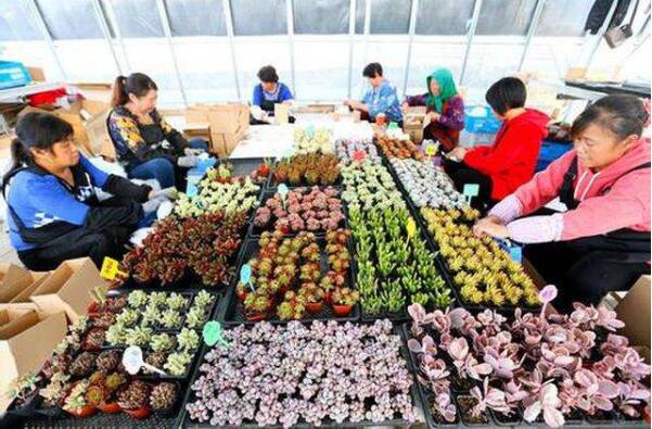 內蒙古消費市場呈現持續回升勢頭