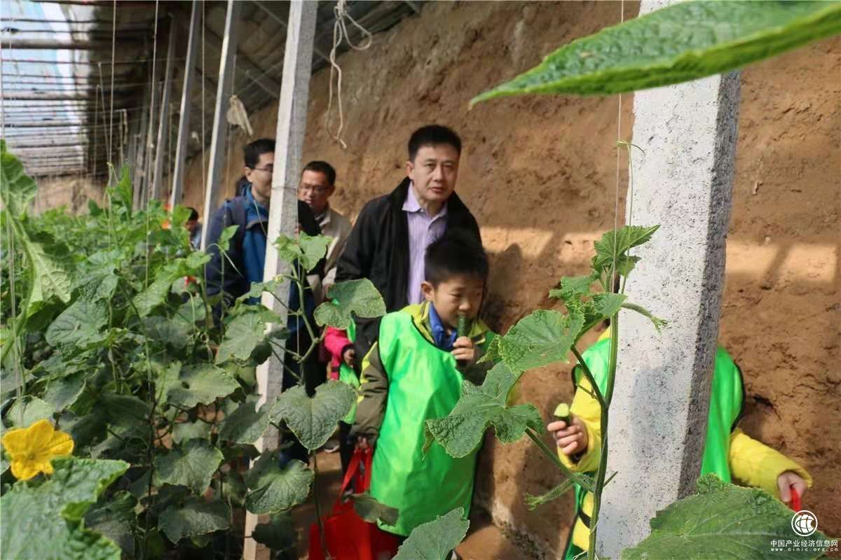 云ERP助力第七屆黃瓜文化節,推動農貿市場智慧轉型!