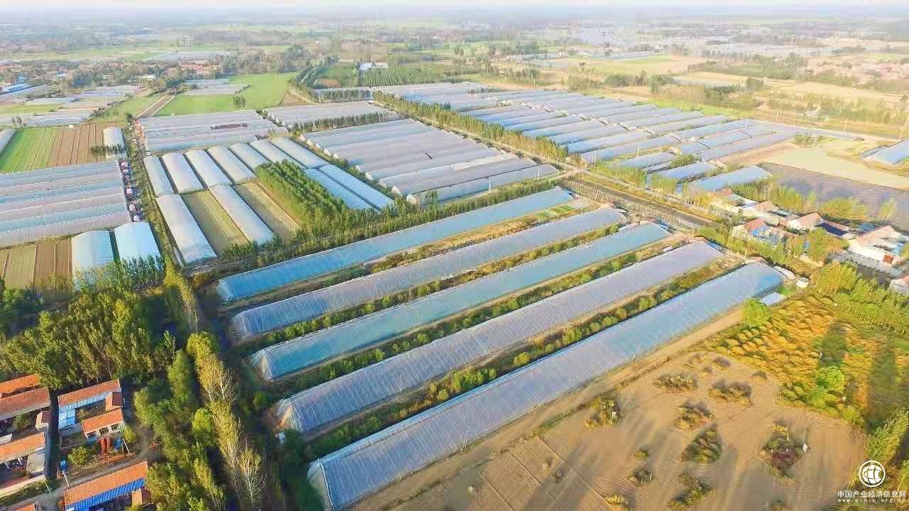 云ERP助力第七屆黃瓜文化節，推動農貿市場智慧轉型！