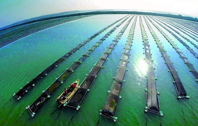 廣東項目建設拉滿弓 奏響新春開工曲