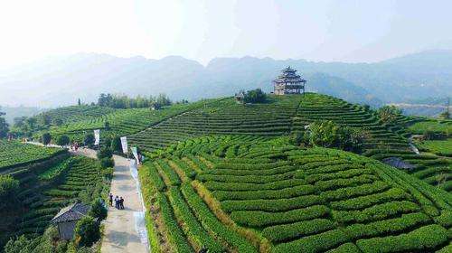 廣西：奮力書寫壯鄉反貧困歷史新篇章