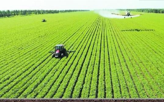 新疆亮出興農強農“金名片”