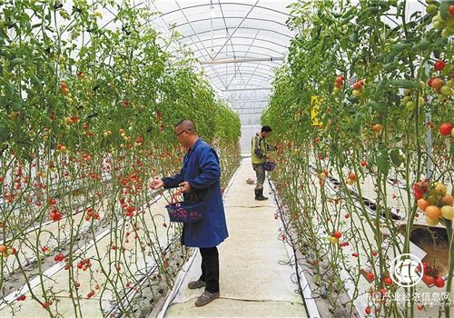 改革開放40年 我國農村貧困發生率降至2%以下