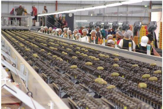 前三季度四川民營經濟增加值同比增長5.5%