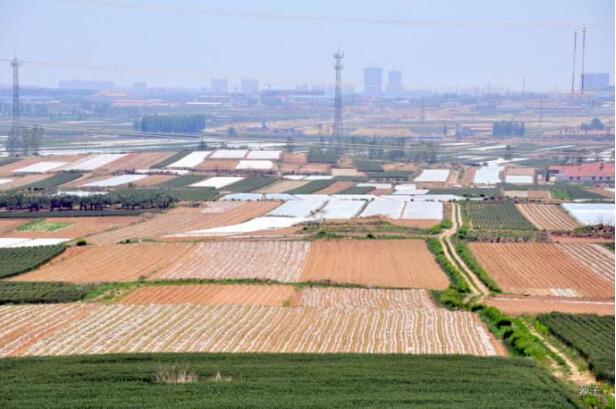 山東5年內將全面盤活利用農村閑散地