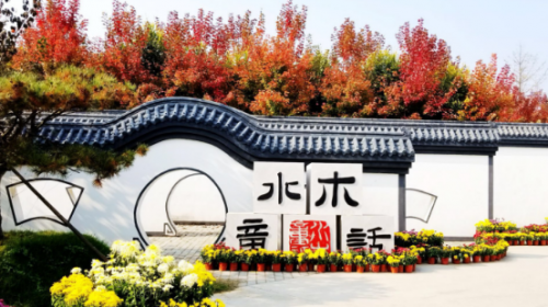 水米田：森林里的沙灘運動場