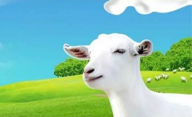 “中國奶山羊之鄉”陜西著力培育千億級奶山羊全產業鏈