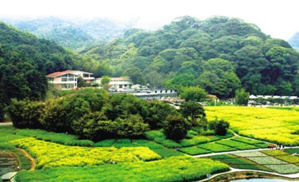 今后兩年廣東將新建50個森林小鎮