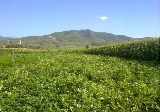 山西省農林牧漁業增加值比上年同期增長0.9%