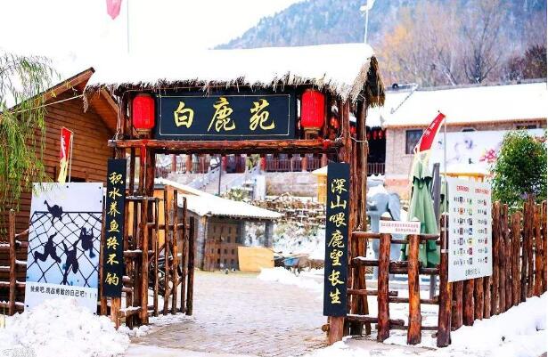 “打卡式”旅游已降溫？文化IP成旅游產業增長新爆點