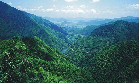 《全國森林可持續經營試點實施方案(2023—2025年)》發布