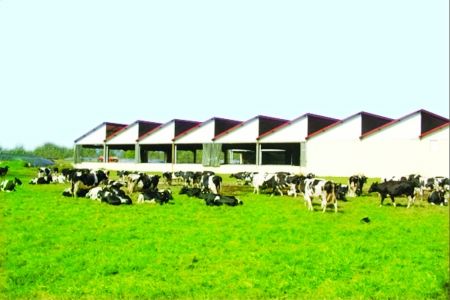 奶業經歷原奶下行周期陣痛 控貨控價、控貨穩價成企業發展重心