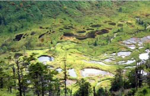 《怒江州林業生態脫貧攻堅區行動方案（2018-2020年）》出臺