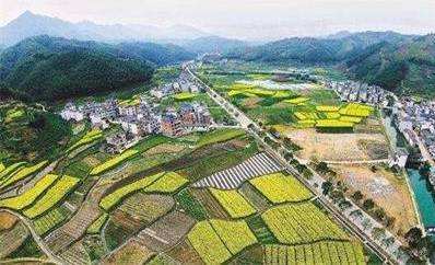 廣西連續四年年均盤活存量用地逾1.5萬公頃