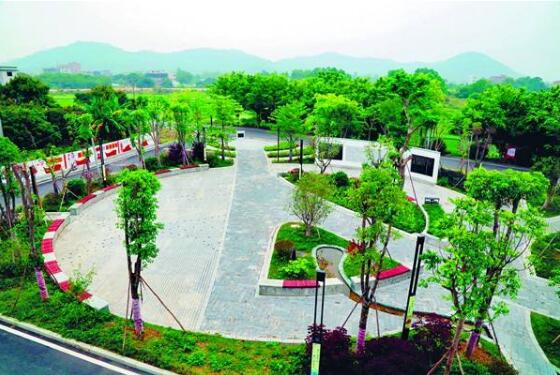 廣東積極引導“銀保擔基資”支持鄉村振興