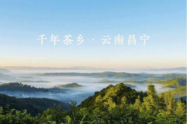 云南昌寧：一二三產業融合發展漸入佳境