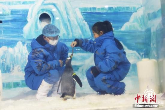 五省市冬季旅游市場：開發冰雪資源 打造熱門產業