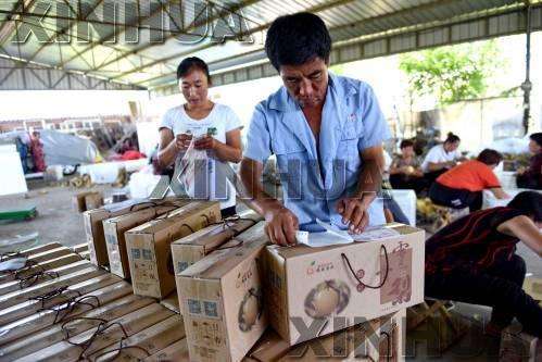 我國脫貧勞動力就業形勢穩定