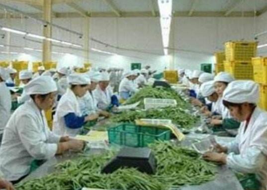 河南：第22屆中國農產品加工業投資貿易洽談會9月舉行