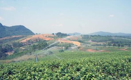 激發內生動力 杜絕“保姆式”扶貧——湖南開展扶貧扶志綜述