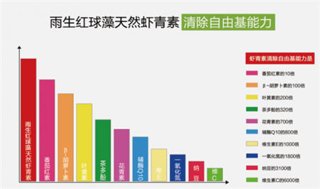 雨生紅球藻為何被譽為抗氧化革命性產品的溫床