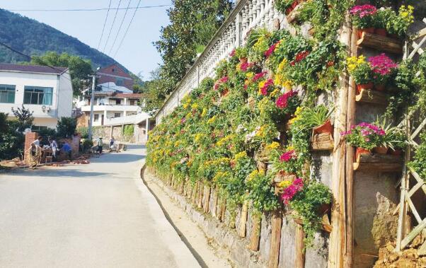 我國明確鄉村建設行動路線圖
