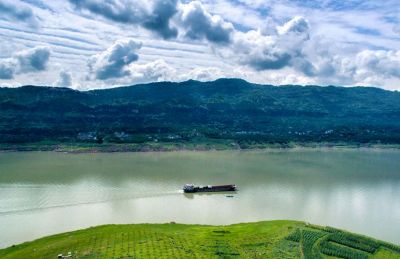 長江流域水生生物多樣性持續恢復