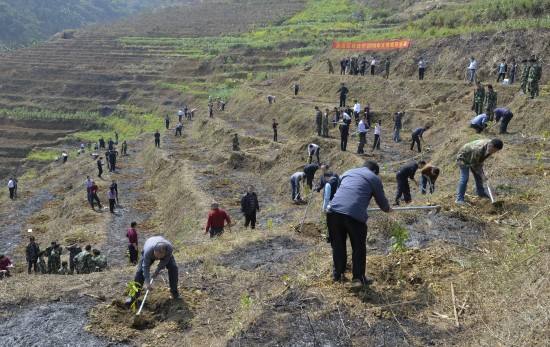 廣東開春掀起植樹造林熱潮 5月底前完成林分優化提升200萬畝目標