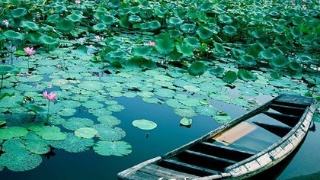 河南省29個水環境治理項目獲中央3.71億元投資計劃