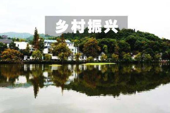 六部門發文明確：1561億元鄉村振興補助不得用于償還債務等