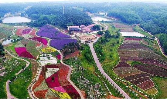 用好政策性金融助推鄉村振興