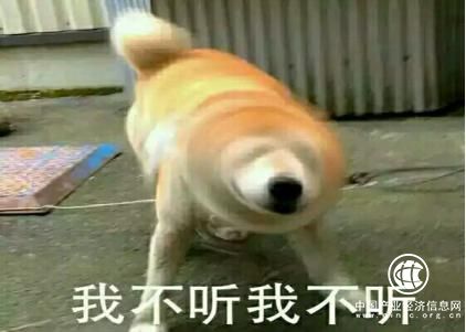 還沒買保險的朋友一定要看，不然你就真的徹底輸了