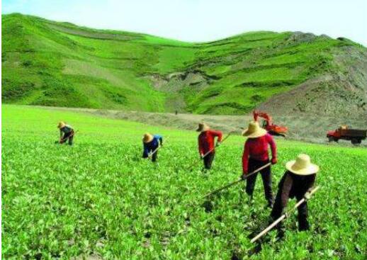 農業農村部：確保小農戶不掉隊