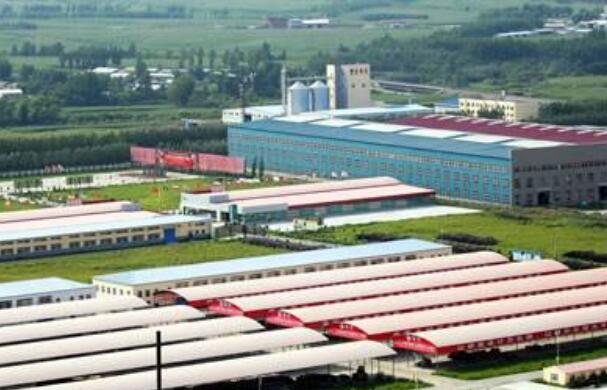 滄桑巨變 黑龍江開發區建設碩果累累