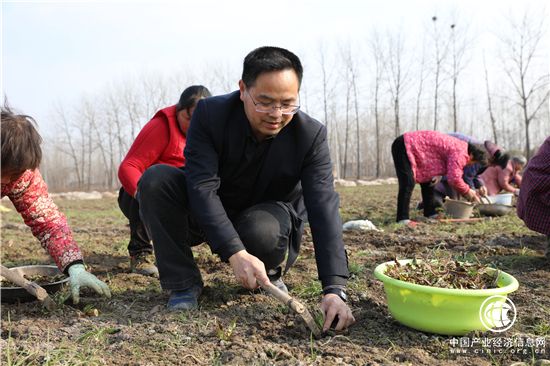 扶貧干部陳新年：助貧困村做強產業