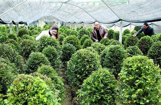 《綠色產業指導目錄（2019年版）》明確產業發展重點