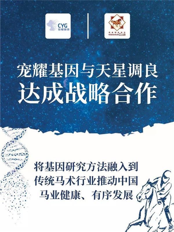 寵耀基因與天星調良國際馬術俱樂部正式達成戰略合作