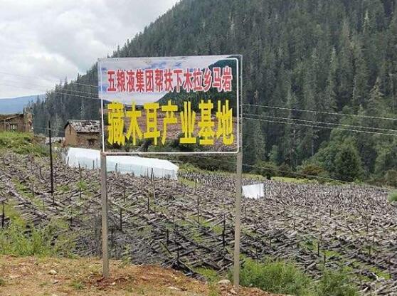 五糧液助力脫貧攻堅取得良好成效