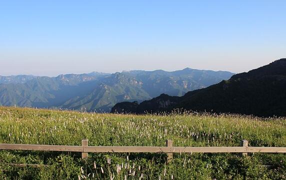 山西植被生態質量改善速度全國居前