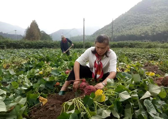 代表委員暢談鄉村全面振興：擘畫幸福新藍圖 譜寫小康新樂章