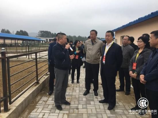 呼和浩特市人大常委會副主任魯劍鈞赴草原烏骨羊武川基地調研