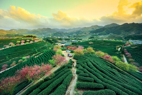 福建省財政持續加大生態環境支持力度