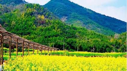 福建省多措并舉推進質量興農