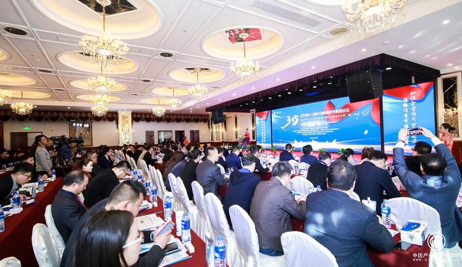 第十三屆中國消費經濟高層論壇暨3?15中國消費市場影響力品牌（產品）推廣活動在京舉行