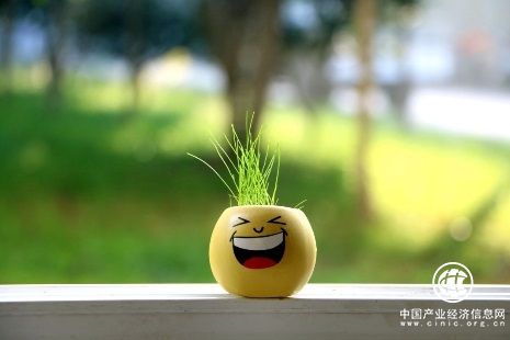春季養肝方法，逍遙丸養肝事半功倍