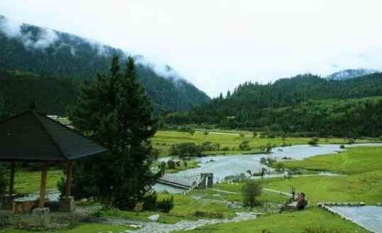 廣東發布2023年第2號總林長令 用硬措施保護綠美廣東生態建設成果